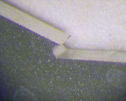 Lynx Dynascope Bild 2